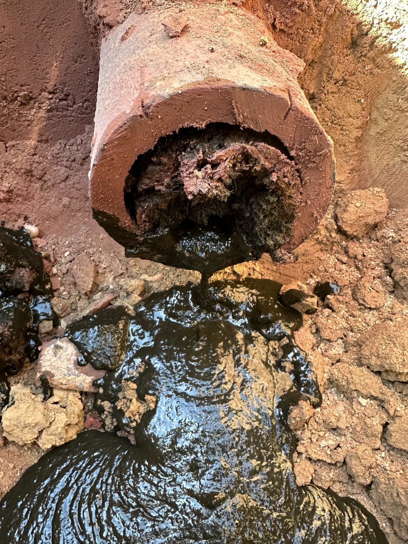 Pristine Plumbing crew working on site