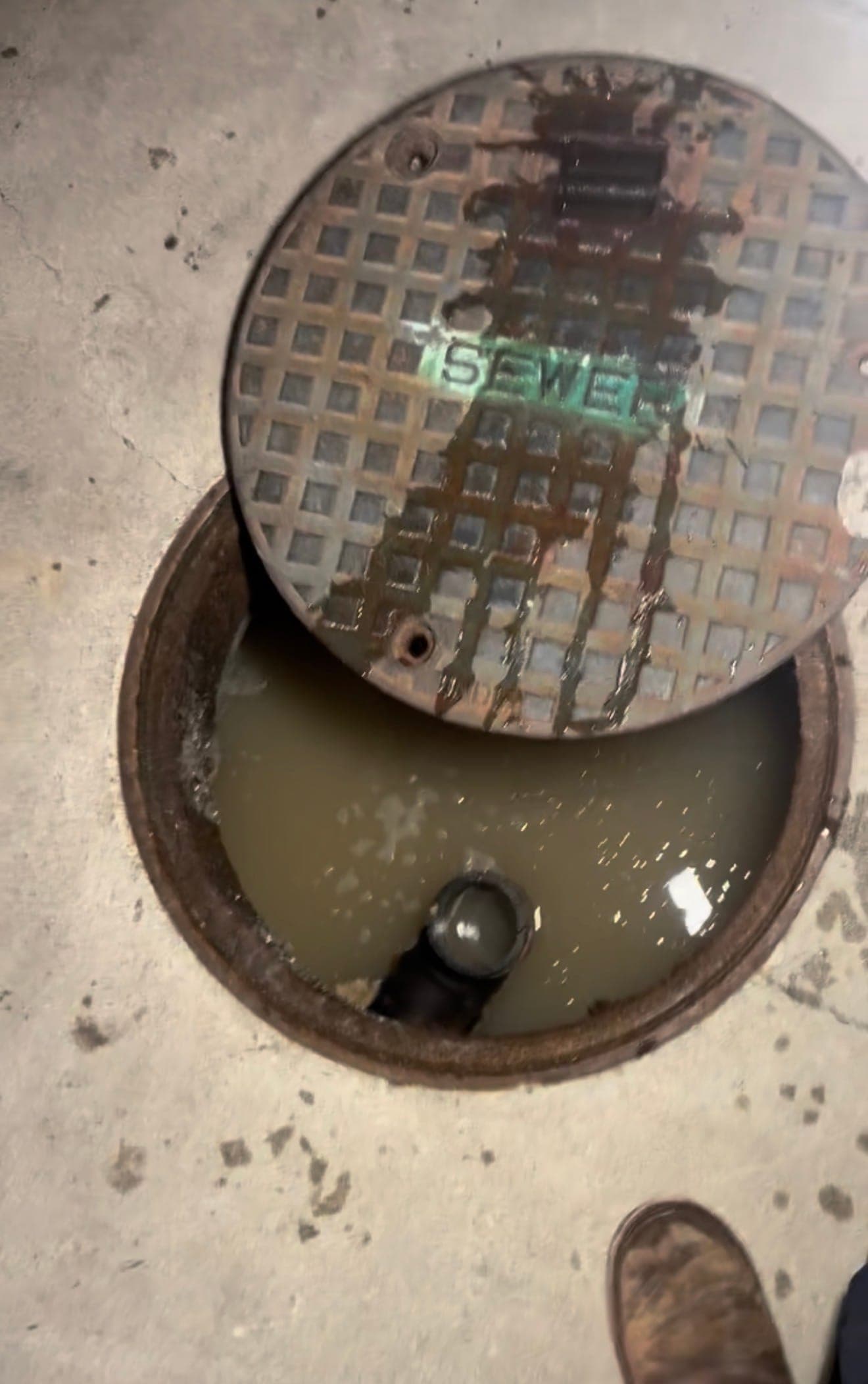A sewer cleanout opened at ground level, standing full of waste water